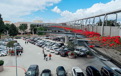 Malls & Retail Districts