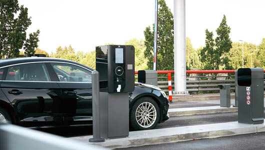 Regional Adaptations